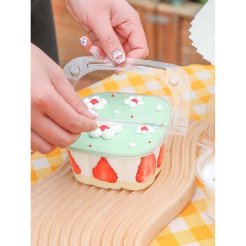 [Thùng] Hộp nhựa nắp gập  HY-09 [50c/lốc, 600c/thùng)