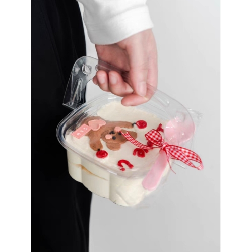 [Thùng] Hộp nhựa nắp gập  HY-09 [50c/lốc, 600c/thùng)