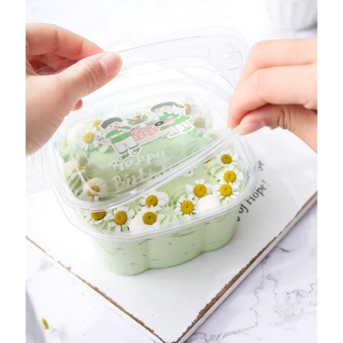 [Thùng] Hộp nhựa nắp gập  HY-09 [50c/lốc, 600c/thùng)