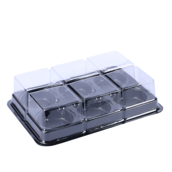 Hộp nhựa 6 ngăn FG332 đựng bánh 50-75gr (10-50c)