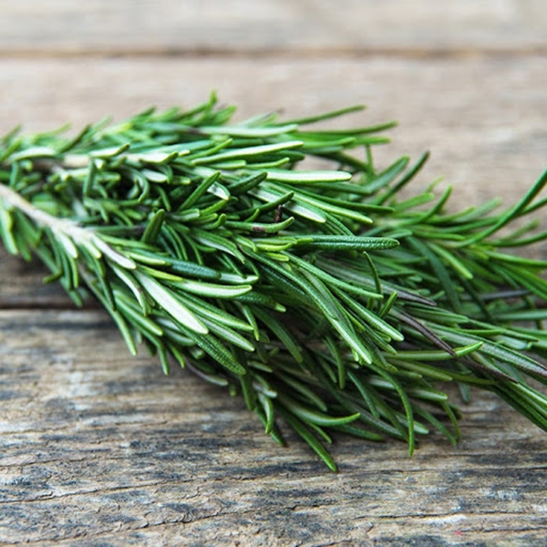 Lá hương thảo (Rosemary) tươi ~30g