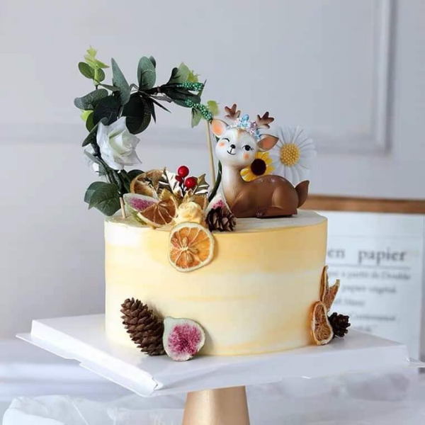 Cam thái lát sấy khô trang trí 50gr