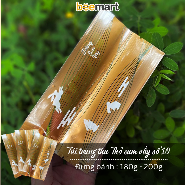 Túi đựng bánh Trung thu các mẫu (50c)