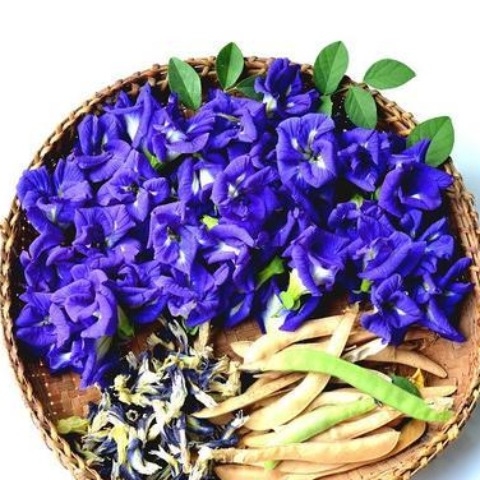 Hoa đậu biếc khô 50g