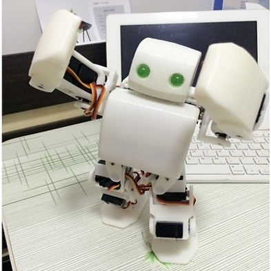 robot-nguoi-plen-2