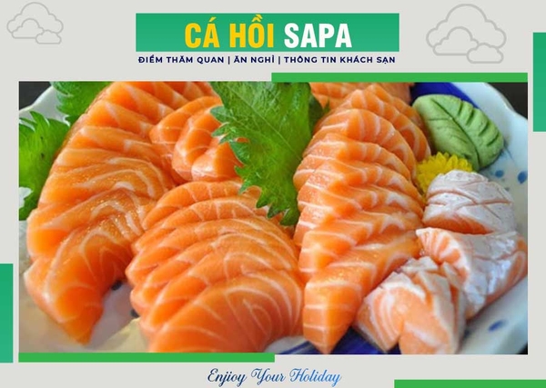 Cá Hồi Sapa - Mua Ở Đâu? Bao Tiền? Cách Chế Biến? | Antamtour.vn