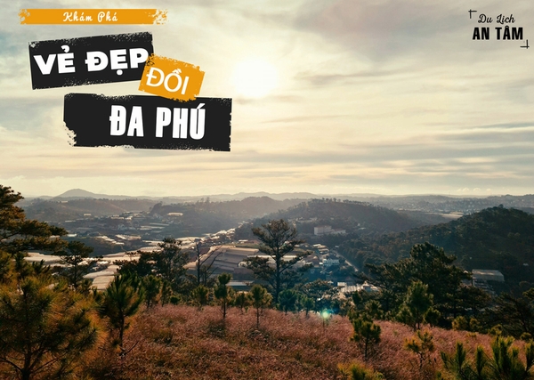 Review Đồi Đa Phú | Antamtour.vn
