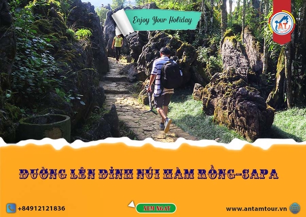 NÚI HÀM RỒNG - KINH NGHIỆM LEO NÚI HÀM RỒNG SAPA | Antamtour.vn
