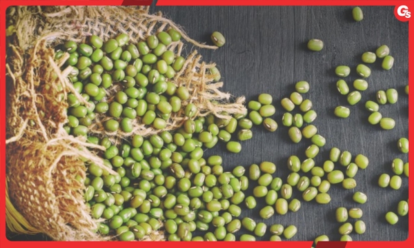 công dụng của hạt đỗ xanh