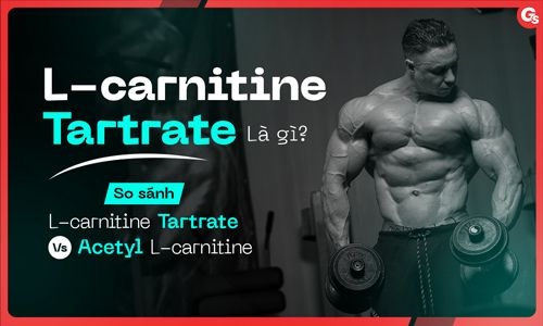 l-carnitine l g g: Bn bit v cc li ch ca L-Carnitine? Nc Ung Gim M Ct