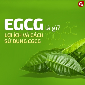 Thực phẩm nào có chứa EGCG ngoài trà xanh?