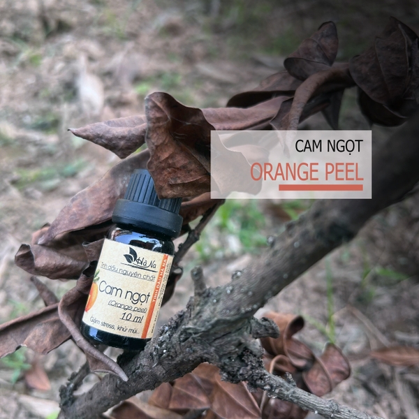 Tinh dầu Cam Ngọt ORANGE PEEL