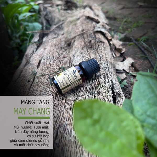 Tinh dầu Màng Tang LITSEA