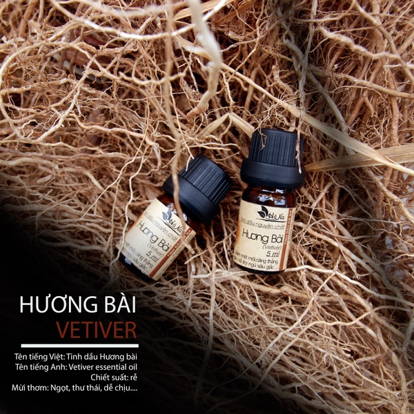 Tinh Dầu Hương Bài VETIVER