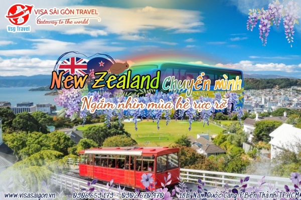 NEW ZEALAND CHUYỂN MÌNH TRƯỚC THỀM GIÁNG SINH - NGẮM NHÌN MÙA HÈ RỰC RỠ!