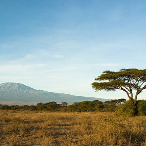 DU LỊCH KENYA - GẦN HƠN VỚI THIÊN NHIÊN HOANG DÃ