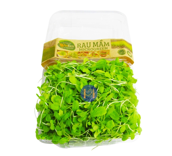 Rau mầm cải xanh hộp 100g