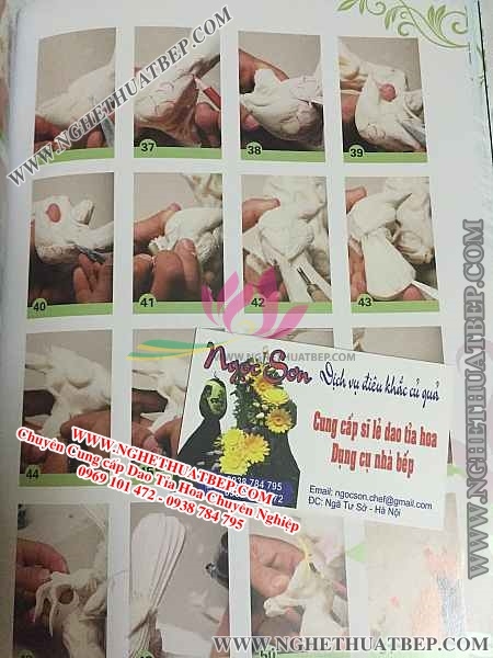 Sách Tỉa Hoa, Sách Cắt Tỉa, Hướng Dẫn Tỉa Hoa