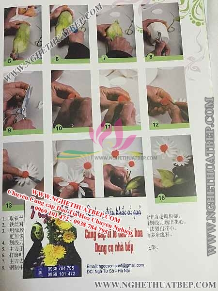 Sách Tỉa Hoa, Sách Cắt Tỉa, Hướng Dẫn Tỉa Hoa
