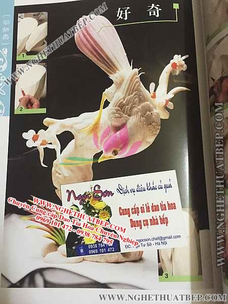 Sách Tỉa Hoa, Sách Cắt Tỉa, Hướng Dẫn Tỉa Hoa