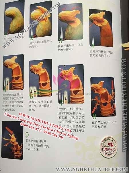 Sách Tỉa Hoa, Sách Cắt Tỉa, Hướng Dẫn Tỉa Hoa