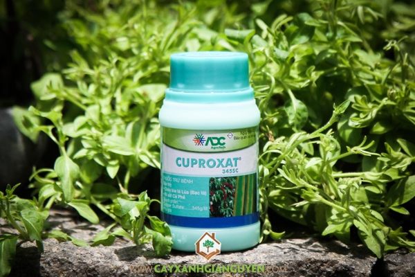 Thuốc Trừ Bệnh Bạc Lá – Rỉ Sắt Cuproxat 345SC