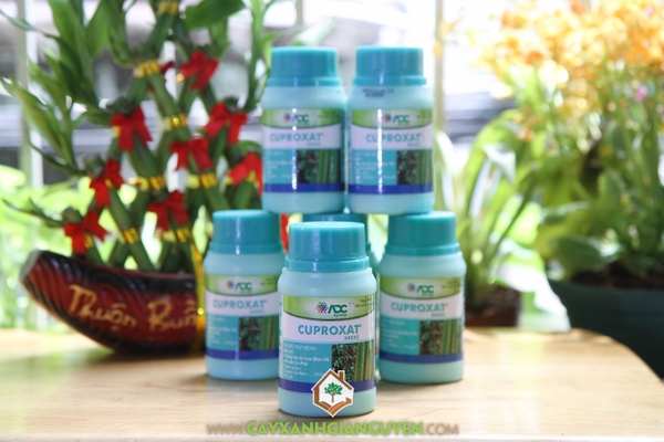 Thuốc Trừ Bệnh Bạc Lá – Rỉ Sắt Cuproxat 345SC