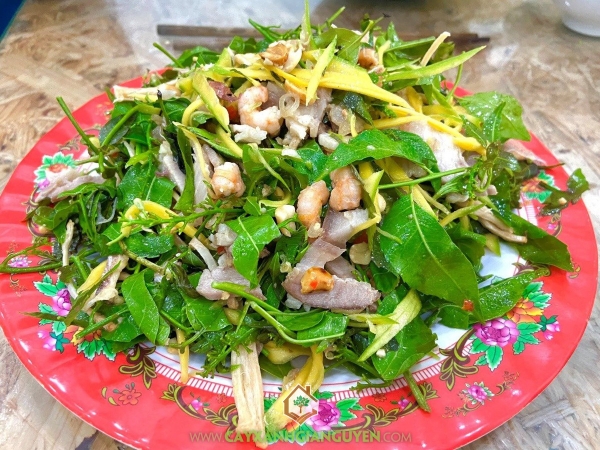 Gỏi Sầu Đâu