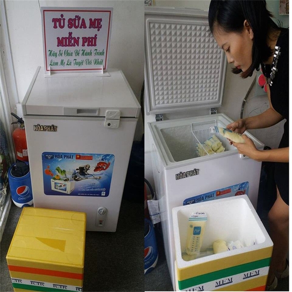 Giảm Giá Đặc Biệt Tủ Đông Trữ Sữa Cho Bé