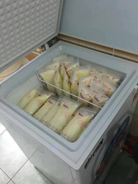 tủ đông lạnh mini