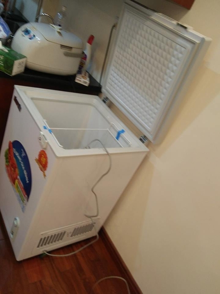 tủ đông mini sanaky