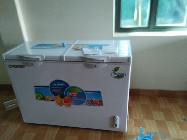 Tủ đông hòa phát 506S2N2