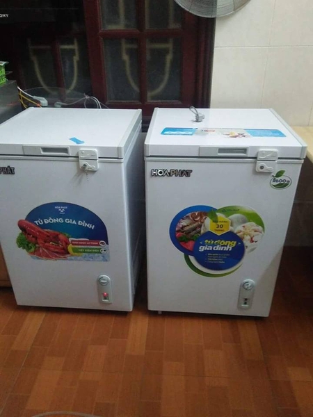 Tủ cấp đông mini 100l