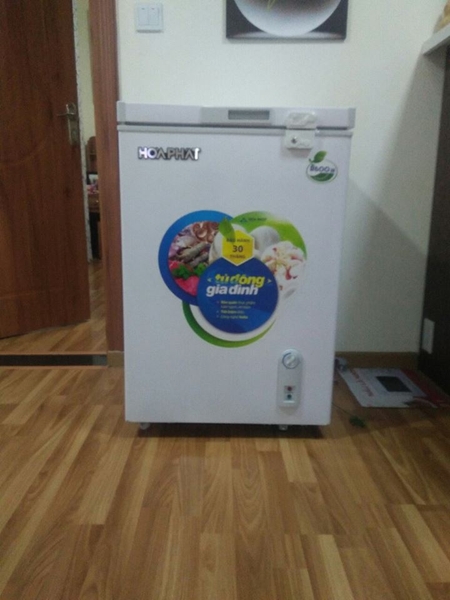 tủ đông hòa phát hcf-100s1pn