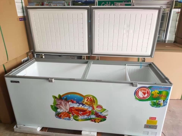 Tủ đông Nishu 988S New ( DÀN ĐỒNG) 900 lít 1 ngăn đông 2 cánh