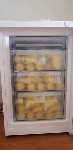 tủ đông mini dạng đứng