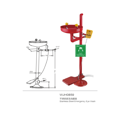 Bồn rửa mắt WJH0859