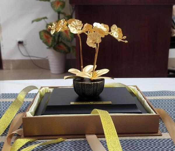 Cây lan 3 cành để bàn mạ vàng mang ý nghĩa tài lộc và may mắn