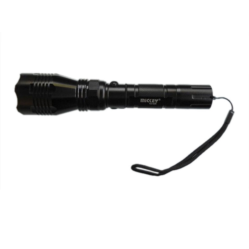 Đèn pin siêu sáng TD022