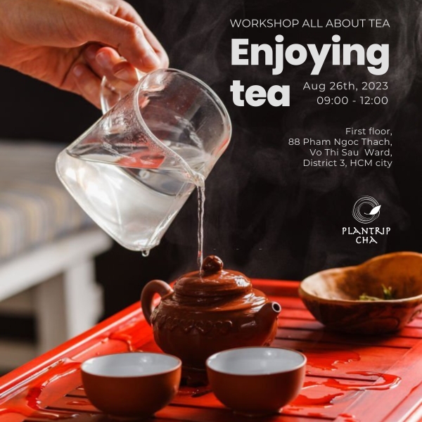 WORKSHOP ALL ABOUT TEA “ENJOYING TEA” - 26/08/2023 | Plantrip Cha
