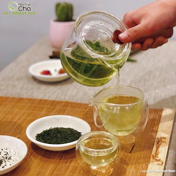 Trà Xanh Gyokuro Nhật