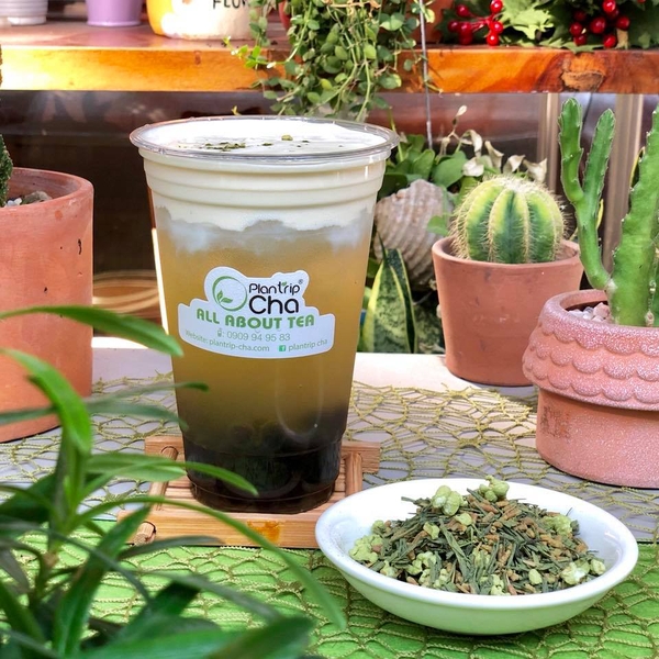 Trà gạo rang Genmaicha Macchiato