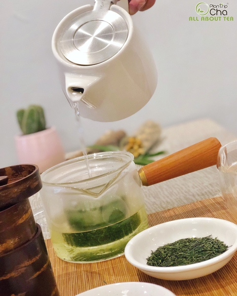 Trà xanh Gyokuro Plantrip Cha