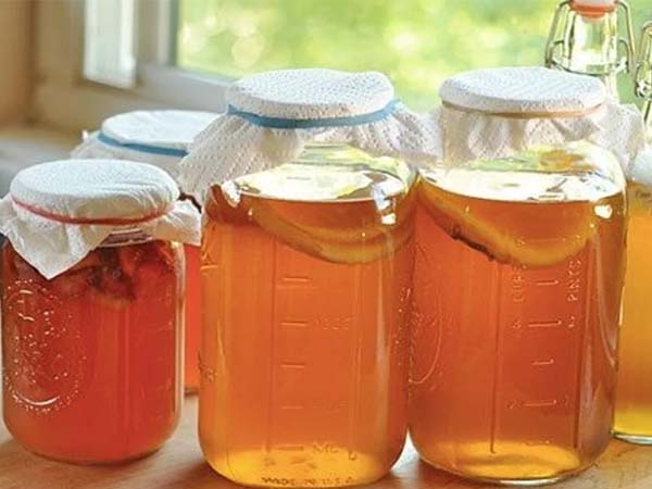 cách làm trà kombucha