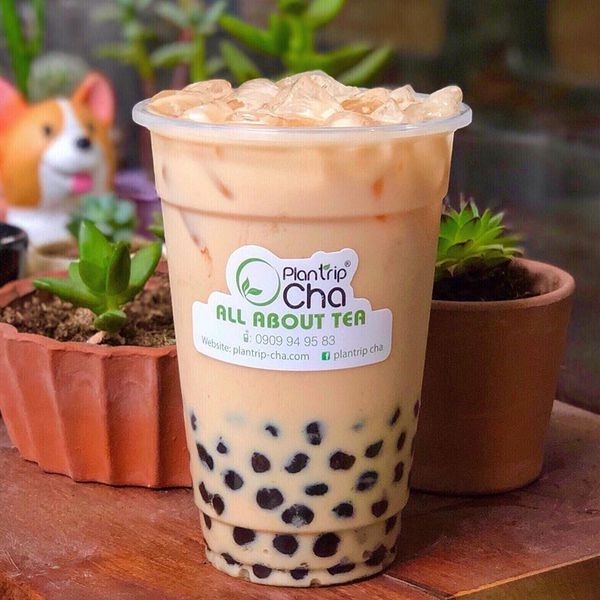 Hồng Trà Sữa Plantrip Cha