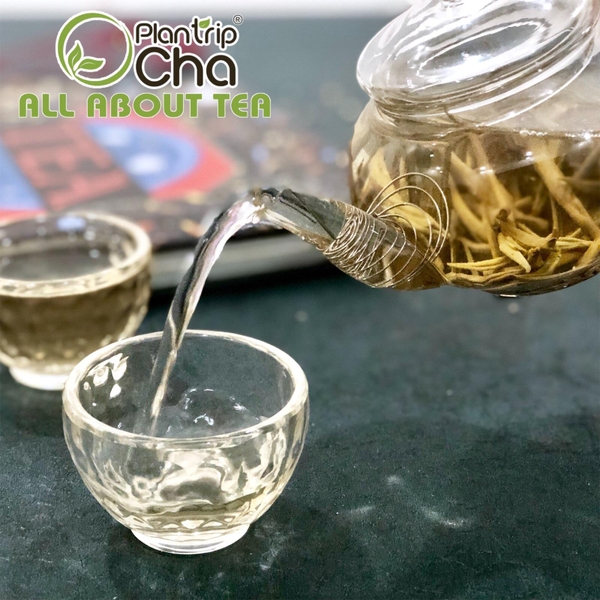 trà trắng