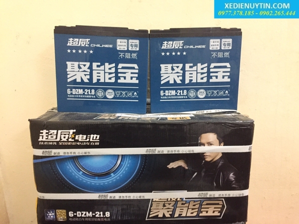 Ắc quy xe điện Chilwee nhập khẩu