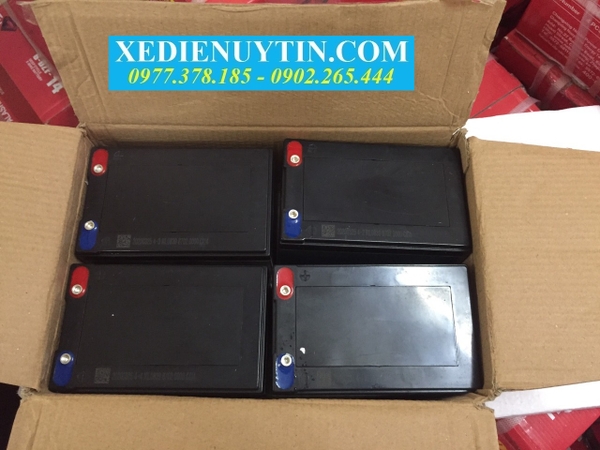 Ắc quy xe đạp điện Alasha giá rẻ