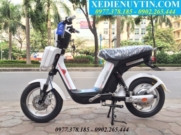 Xe đạp điện Nijia 2020 giá rẻ