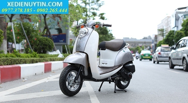 Xe ga 50cc Scoopy - 05